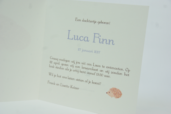 geboortekaartje luca lila